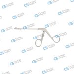Antrum Punches (Backbiter)