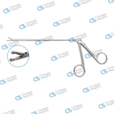 RHOTON Micro alligator cup forceps