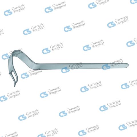 OBWEGESER Chin Holder